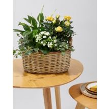 M&S  Large Spring Flowering Basket