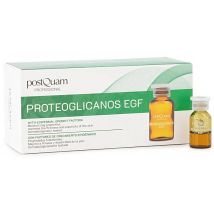 Postquam Proteoglicanos EFG 10 Ampolas