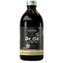Xarope Hifas da Terra Dr. Gb Intestino e Cérebro Infantil 250 ml