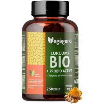 Vegan Turmeric with Ginger and Black Pepper Organic 250 Capsules