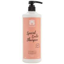 Valquer Laboratorios Champú Especial Rizos 1000 ml