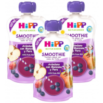 Hipp Smoothie Arándanos con Manzana y Pera BIO +12m 3x120 ml