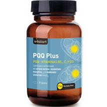 Vitalart PQQ Plus 30 Cápsulas