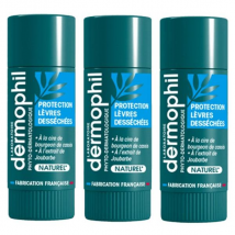 Dermophil Indien Sticks Protection Lèvres Desséchées Bio Lot de 3 x 4g - Nourrissant -