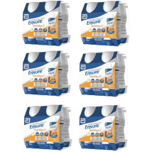 Ensure Nutrivigor Chocolate 24x220 ml