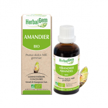 Herbalgem Macérat Concentré Amandier Bio 30ml Vegan