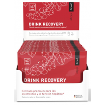 Vit2go Drink Recovery 30x10 gr Sobres