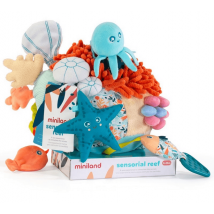 Canna sensoriale Miniland