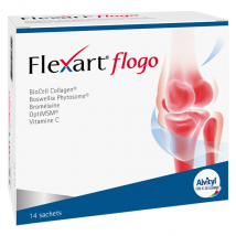 Alvityl Flexart Flogo Poudre 14 sachets