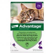 Advantage Solution Antipuce Chat Lapin +4kg 6 pipettes - Anti-Puce -