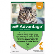 Advantage Solution Antipuce Chat Lapin 1 à 4kg 6 pipettes - Anti-Puce -