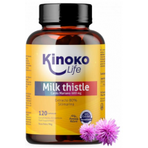 Kinoko Life Cardo Mariano 600 Mg 120 Cápsulas