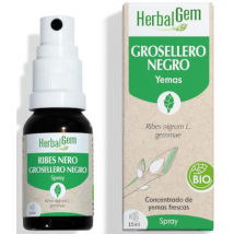Herbalgem Grosellero Negro Bio Spray 15 ml