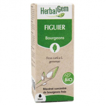 Herbalgem Macérat Concentré Figuier Bio 30ml Vegan