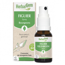 Herbalgem Figuier spray Bio 15ml