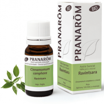 Pranarôm Huile Essentielle de Ravintsara 10 ml