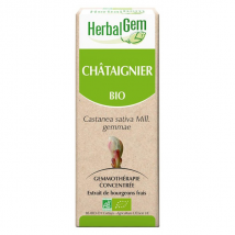 Herbalgem Macérat Concentré Châtaignier Bio 30ml Vegan