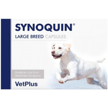 Synoquin EFA Razas Grandes 120 cápsulas
