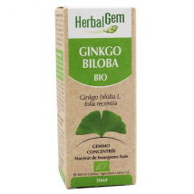 Herbalgem Macérat Concentré Ginkgo Biloba Bio 30ml Vegan