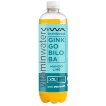 Viwa Vitaminwater BrainBoost Mango, Lima y Lichi 600 ml