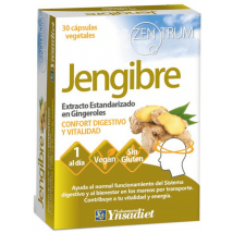 Ynsadiet Zentrum Gingembre 30 Gélules