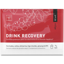 Vit2go Drink Recovery 10gr 1 Sobre