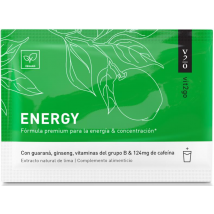 Vit2go Energy 10gr 1 Sobre