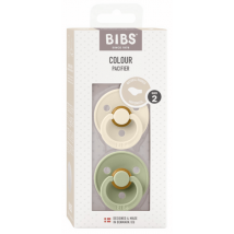 Bibs Sucettes Couleur Anatomique Ivoire/Sauge 6-18m 2 unités