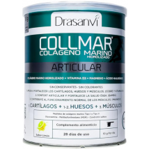 Drasanvi Collmar Articular Sabor Limão 280 gr