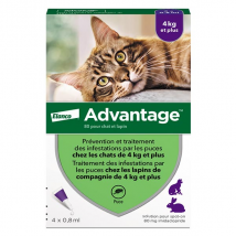 Advantage Solution Antipuce Chat Lapin +4kg 4 pipettes - Anti-Puce -