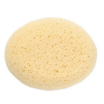 Saro Hydrophilic Sponge