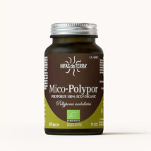 Hifas da Terra Mico-Polypor ECO 70 Cápsulas