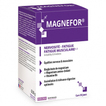 Ineldea Magnefor 90 gélules