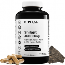 Hivital Shilajit 46000mg 120 Capsule Vegane