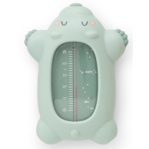 Termômetro de banho Saro Polaris Green