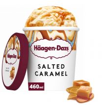 Häagen-Dazs Salted Caramel Ice Cream 460ml