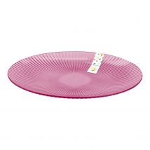 Pink Plastic Plate