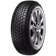 GT Radial Winter Pro 2 205/55 R17 95H XL | Protyre - Van Tyres - Winter Tyres