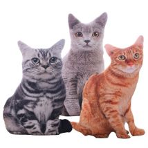 Coussin en peluche lavable 50cm | Simulation 3D, coussin de chat en peluche, coussin de chat en forme de dessin animé, pour enfants, décor de maison