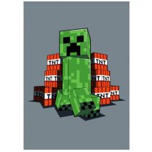 Koc 100x150 Minecraft Creeper polarowy dziecięcy