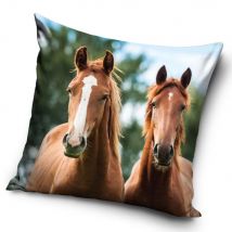 Poszewka velvet 40x40 Dwa koniki