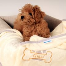 Koc z imieniem dla psa Amico kremowy 70x90 personalizowany haft