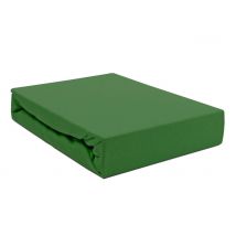 Prześcieradło Jersey 160x200 z gumką zielony kaktus Darymex