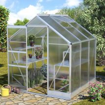 Vitavia Gewächshaus Apollo Tomatenhaus Silber, 4 mm, 199x195x207 cm (LxBxH)
