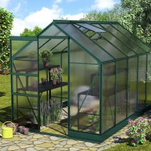 Vitavia Gewächshaus Apollo Tomatenhaus Smaragd, 6 mm, 323x195x207 cm (LxBxH)