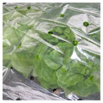 NOOR Frühbeetfolie gelocht günstig