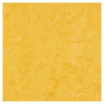 forbo Linoleum Marmoleum Click lemon zest Bodenbelag günstig