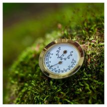 Vitavia Hygrometer mit Blister Messing günstig