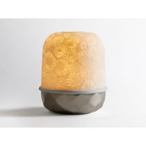 Bernardaud - Lampions - Led - Zinnias Argent avec LED - Argent - Objets Décoratifs en porcelaine