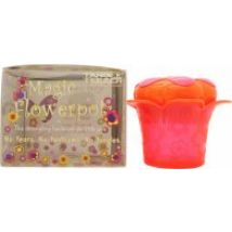 Tangle Teezer Magic Flowerpot Takkuja Poistava Harja Princess Pink